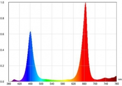 LED Bloom Vital Pflanzenlicht Spektrum