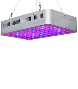 LED Pflanzenlicht, LED Grow light, Pflanzenwachstum, Wachstumslicht, LED Pflanzenstrahler